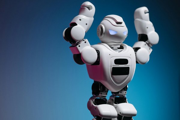 Explorez les merveilles du studio raclette 3d à lille